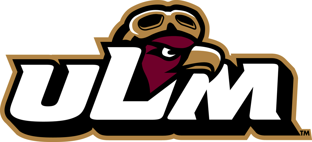 Louisiana-Monroe Warhawks 2006-2015 Mascot Logo 01 iron on paper